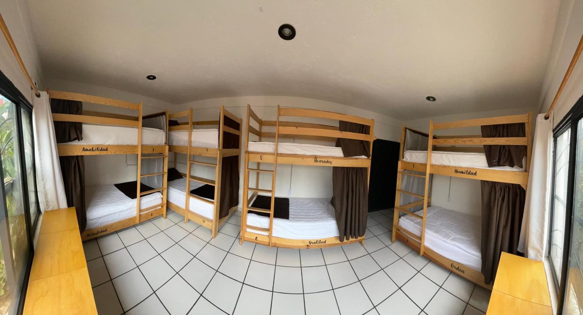 מקסיקו סיטי Hostal Roma Condesa מראה חיצוני תמונה